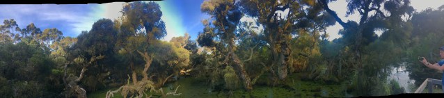 83E704CC-AADA-4446-9B9A-253FD7AE1C6C