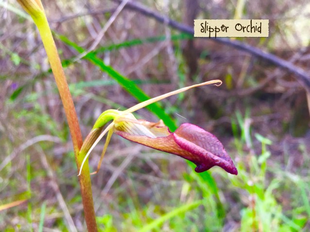 8C86D9F5-96E8-4CB4-8640-37478BA28758