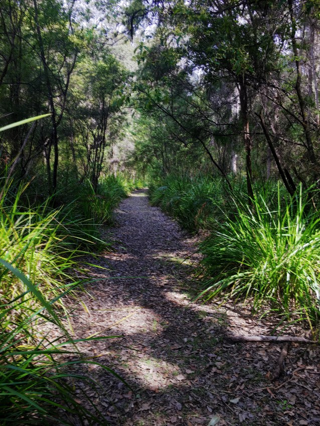 9180CF86-324C-4F70-A1C9-12312BE978D6