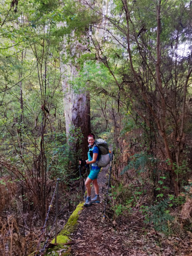 957A5BB4-A775-48CB-A819-1B21946C6A54