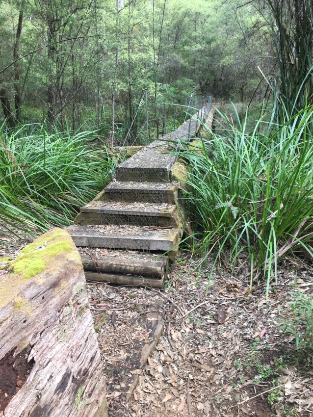 98C9EBA9-B3B5-487C-BCBD-A56B6420FCDC