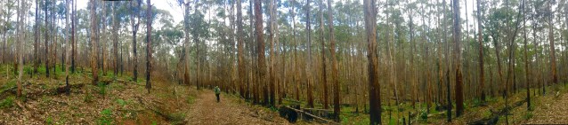 9F39FEC4-A0A9-46DF-801B-A672C0155CC0