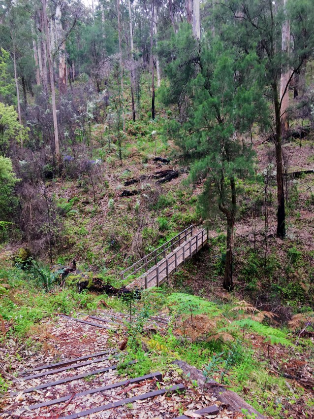 B6B869A6-D4A1-425D-9113-A710DFACA8B5