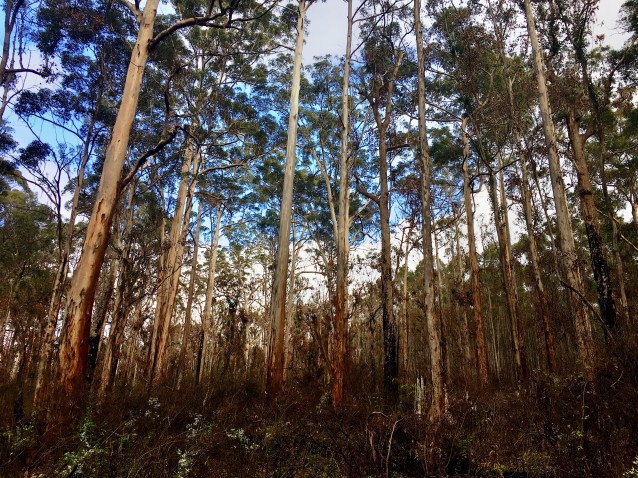 B8FD658C-BDC5-444D-BE58-E61EEF35CB50