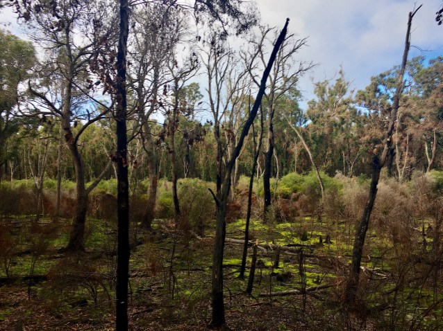 BC1F7544-B03D-4F63-A3FF-2DD7B0FF677B