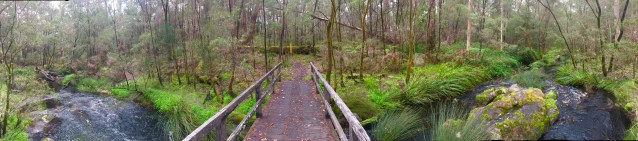 BCD2FB15-83BC-4DB6-884A-9B2F1ED56E45