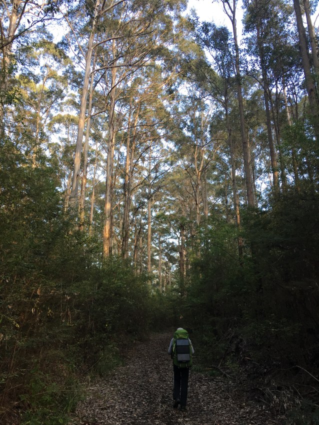 C4BCB326-C04F-48EF-BB24-7836A234B118