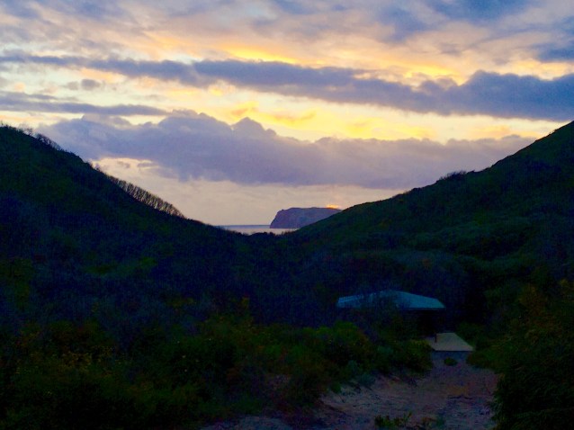 CB8987BE-AB19-460A-9FF6-319B5DB75690