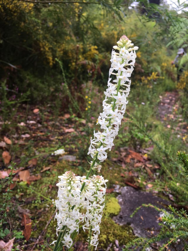 CBD6FAAF-806B-4E44-9877-144746404397