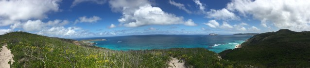 D2446ED8-327E-4AA5-BFE2-6DF7D96C5D4A