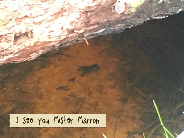 D797750D-D063-43D0-86FA-64FB5FB48EB1