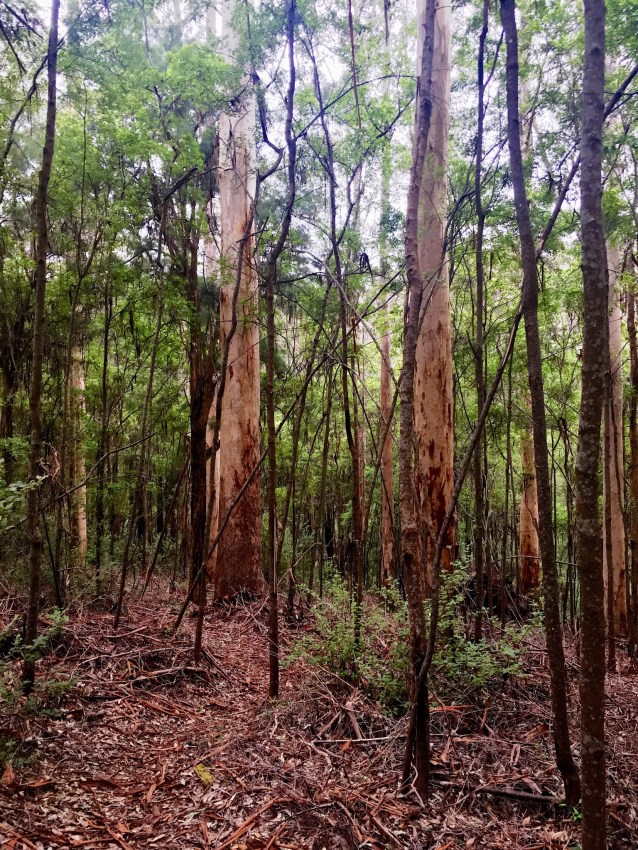 DF9F4A5A-2678-43D9-8C38-460BEF74CF33