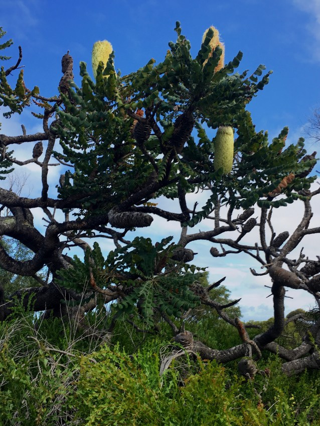 F046C151-FD8D-44DD-B9BF-A7B547FDAC1E